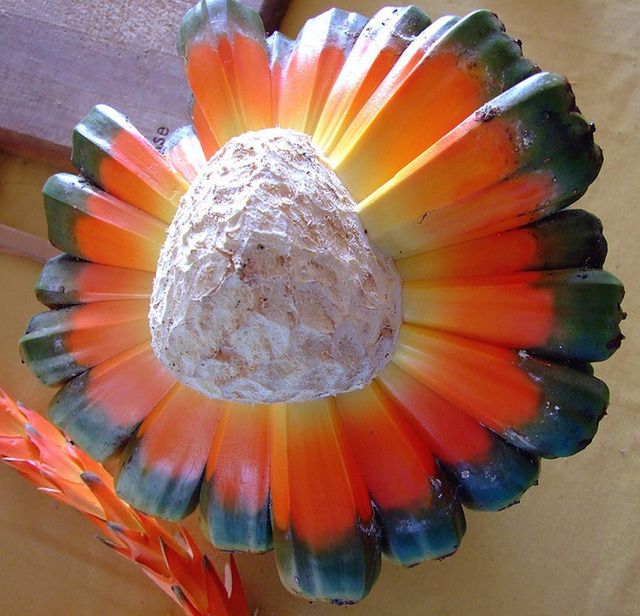 5 екзотичних фруктів, про які ви не чули - фото 322510