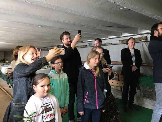 Швейцарець повісив картину Пікассо у сараї: фотофакт - фото 322728