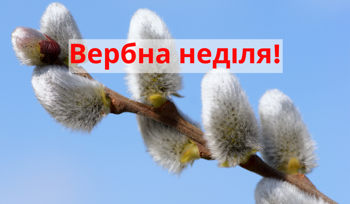 Верба неділя 2025 - фото 1