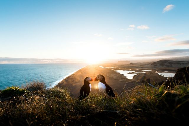 Британець надихає на мандри ефектними фото світу - фото 322819