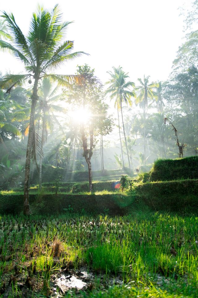 Британець надихає на мандри ефектними фото світу - фото 322824