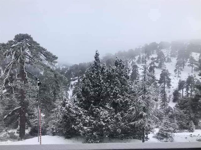 Кіпр засипало снігом: яскраві знімки - фото 323210