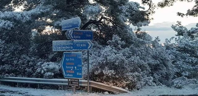 Кіпр засипало снігом: яскраві знімки - фото 323212