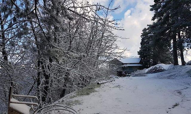 Кіпр засипало снігом: яскраві знімки - фото 323214