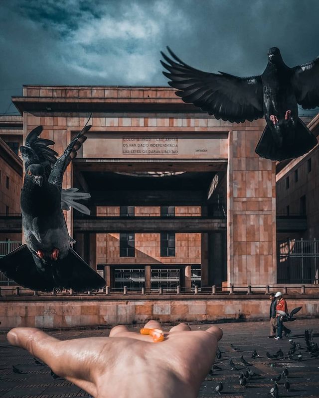 Вуличні фото світу, від яких перехоплює подих - фото 323258