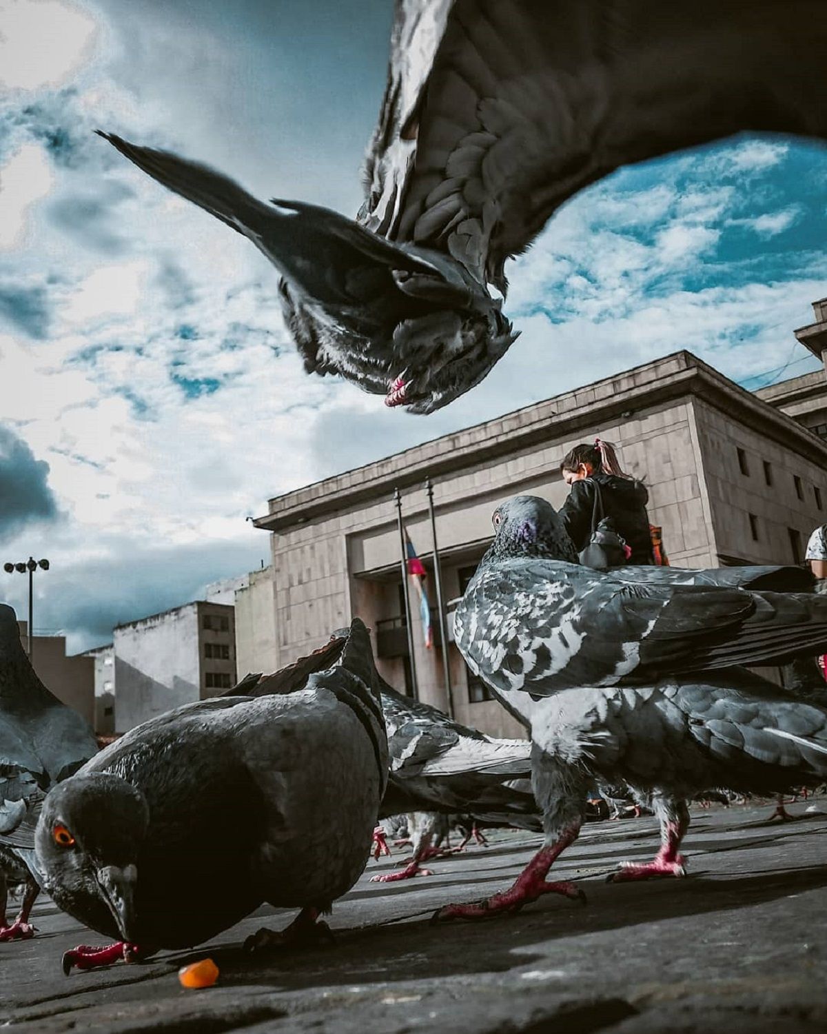 Захопливі фото Колумбії - фото 1