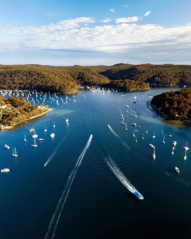 Захоплива Австралія з висоти пташиного польоту: яскраві фото - фото 323491