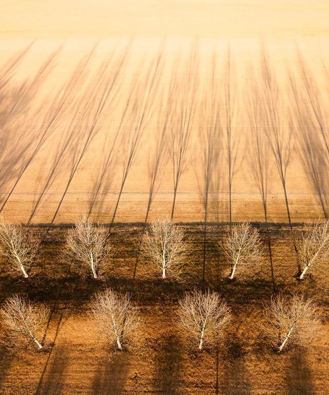 Захоплива Австралія з висоти пташиного польоту: яскраві фото - фото 323495