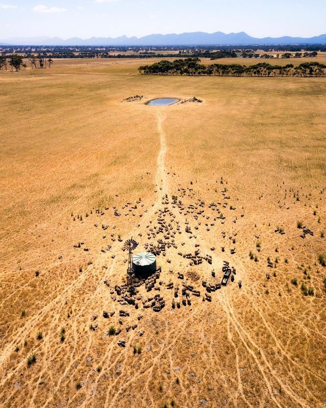 Захоплива Австралія з висоти пташиного польоту: яскраві фото - фото 323496