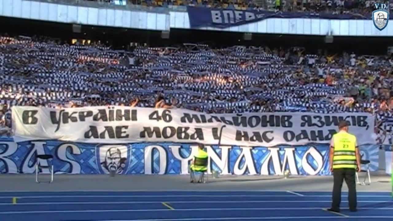 Ультрас Динамо зробили масштабне графіті на Олімпійському: відео