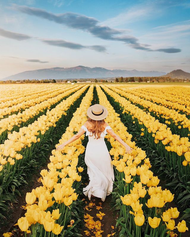 Захопливі подорожі австралійця, від яких важко відвести погляд - фото 323836