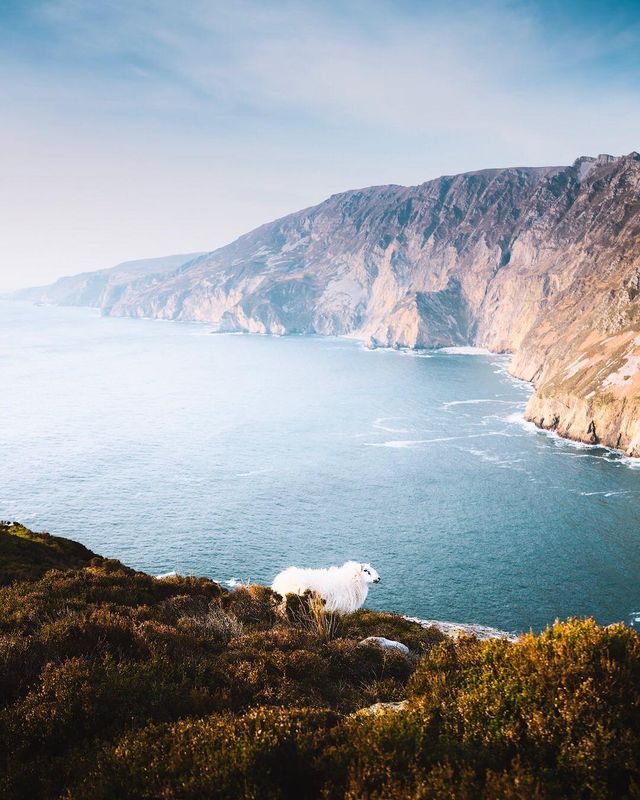 Захопливі подорожі австралійця, від яких важко відвести погляд - фото 323854