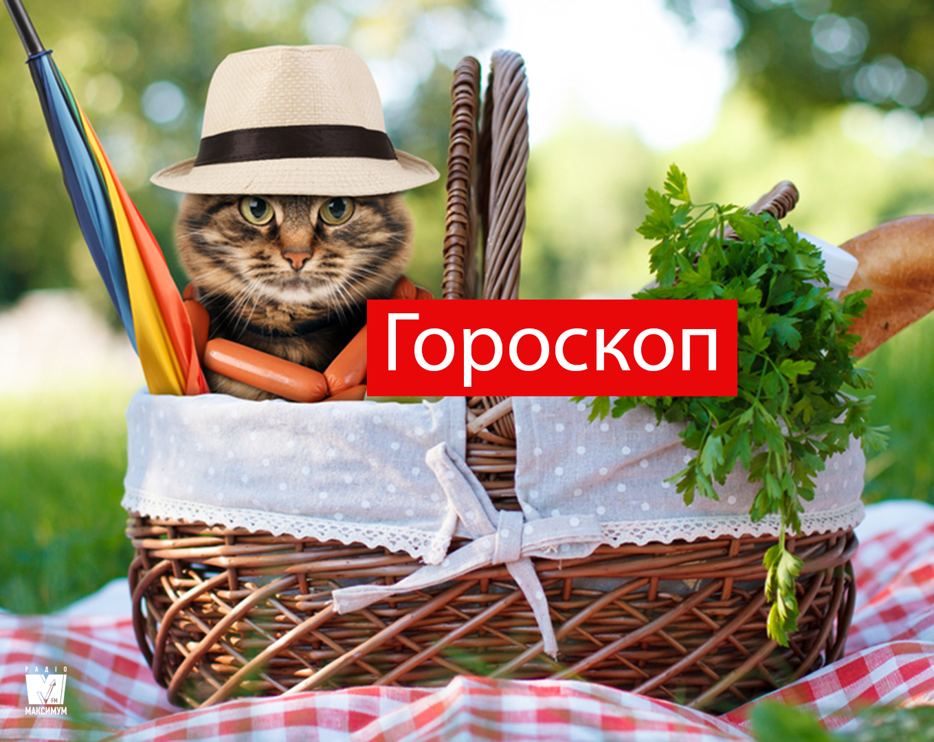 Гороскоп на 2 травня 2019: прогноз для всіх знаків Зодіаку