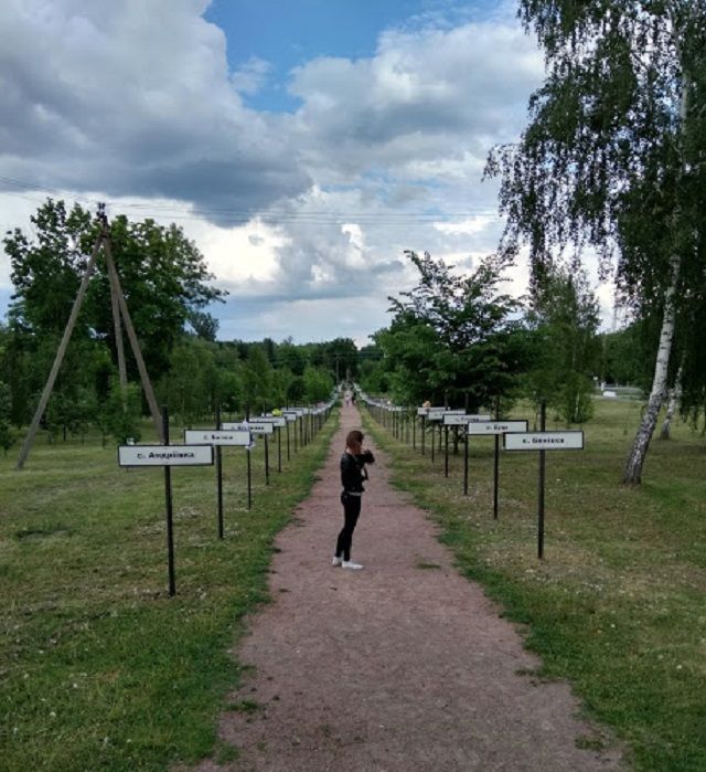 Алея покинутих після аварії сіл - фото 324138