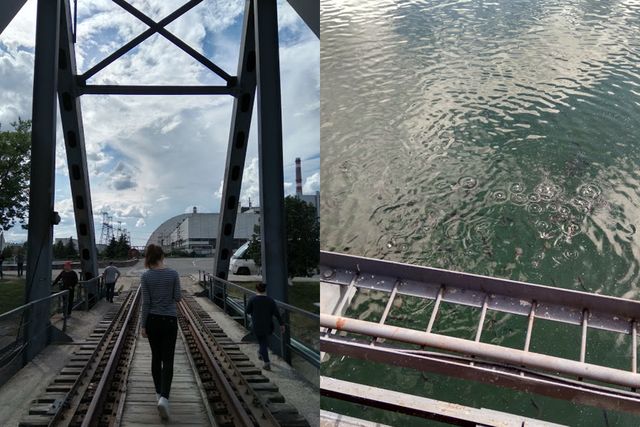 Ставок біля ЧАЕС- фото 324139