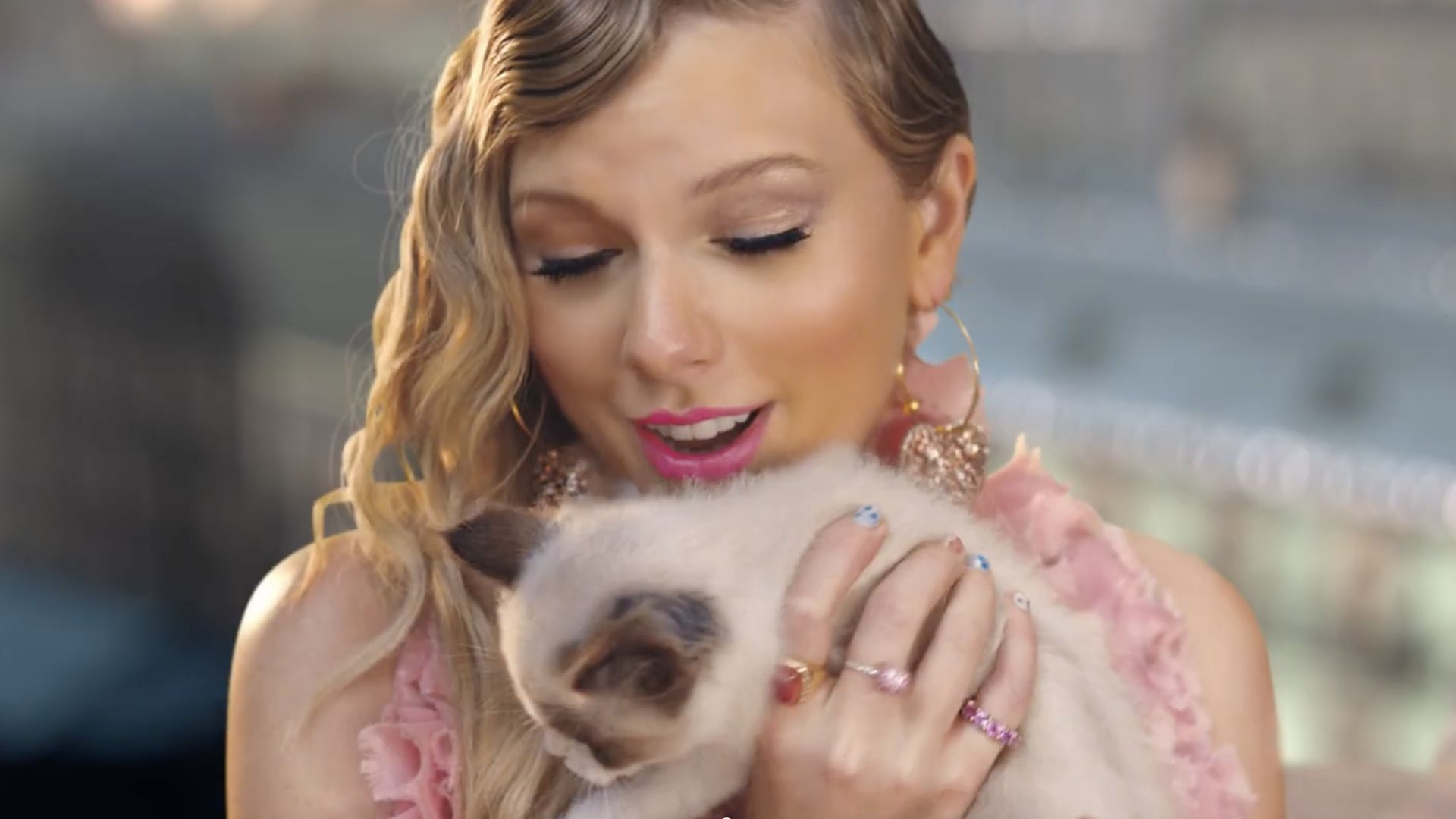 Тейлор Свіфт випустила новий кліп зі своїми кішками