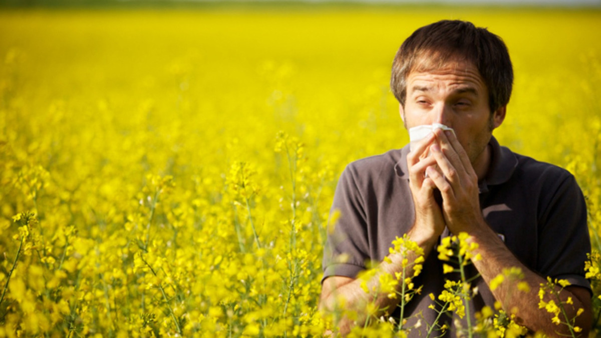Як пережити алергію на пилок: - фото 1
