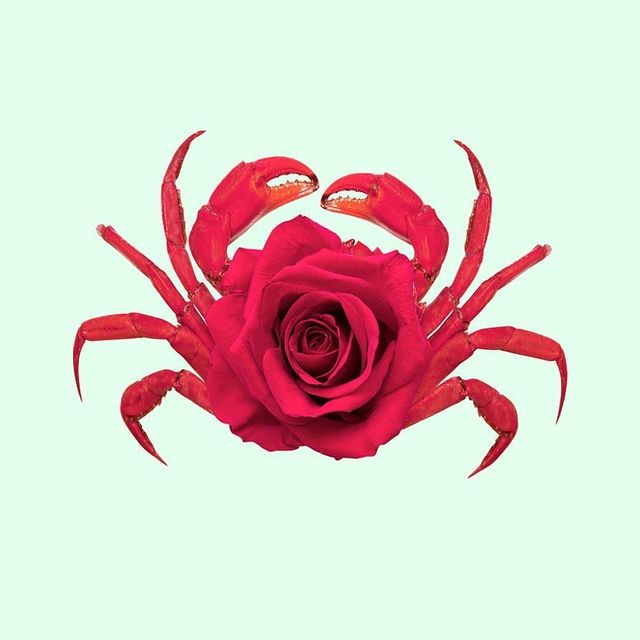 Їжа чи ні: фото мексиканця змушують затримати погляд - фото 324657