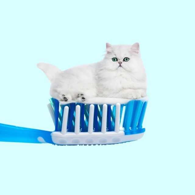 Їжа чи ні: фото мексиканця змушують затримати погляд - фото 324663