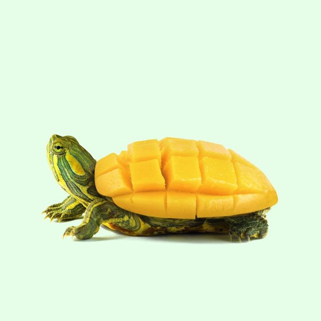 Їжа чи ні: фото мексиканця змушують затримати погляд - фото 324666