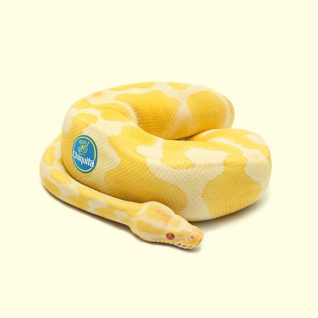 Їжа чи ні: фото мексиканця змушують затримати погляд - фото 324670