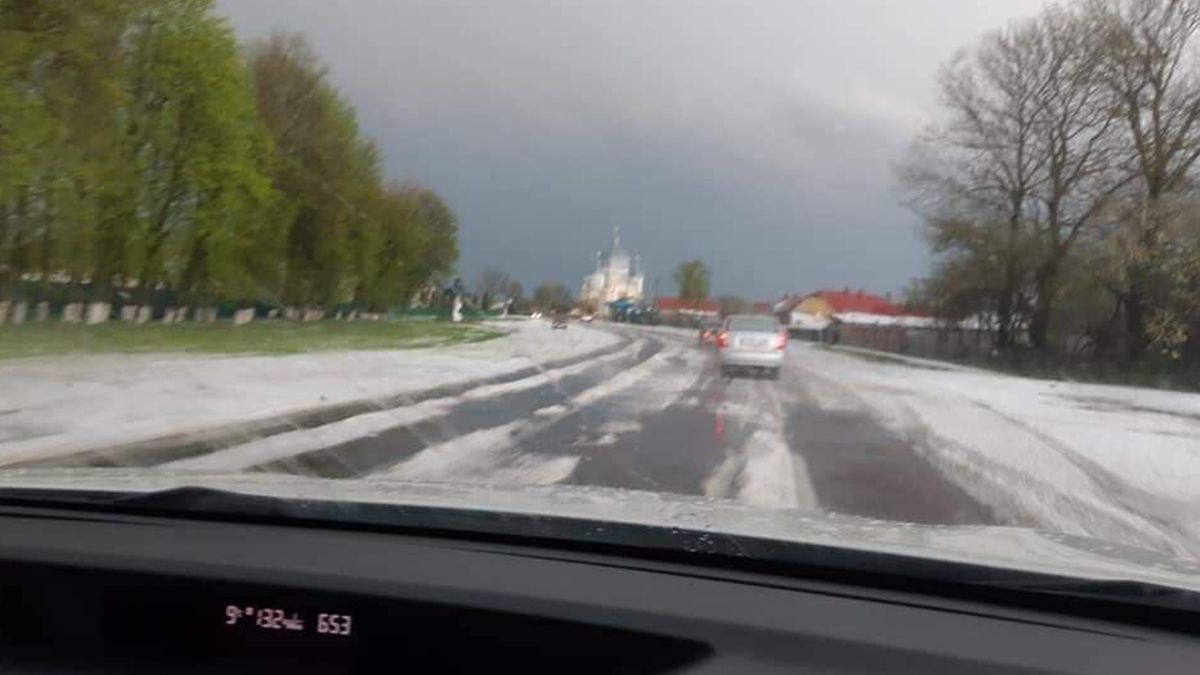 На Тернопільщині випав сніг - фото 1