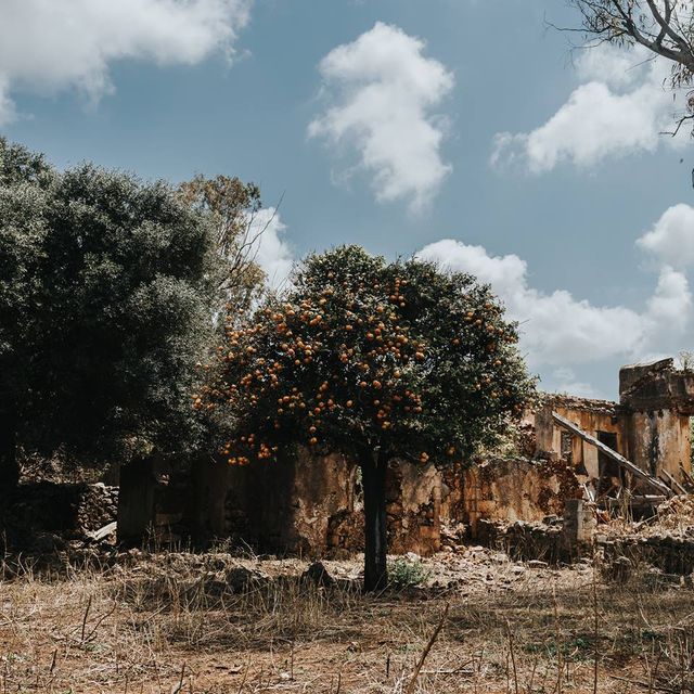 Подорож на Крит, від якої важко відвести погляд: затишні фото - фото 324741