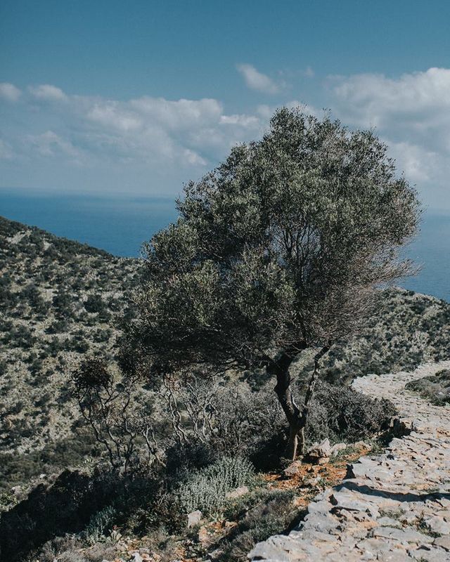 Подорож на Крит, від якої важко відвести погляд: затишні фото - фото 324759