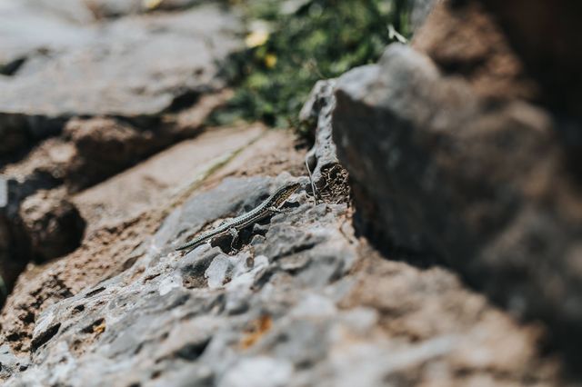 Подорож на Крит, від якої важко відвести погляд: затишні фото - фото 324760