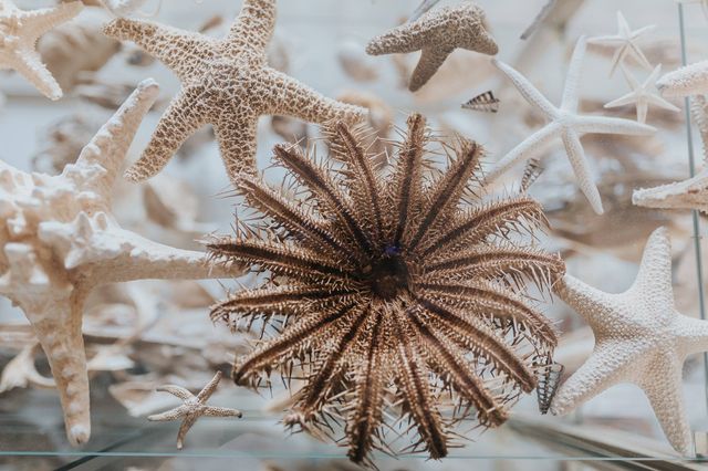 Подорож на Крит, від якої важко відвести погляд: затишні фото - фото 324770