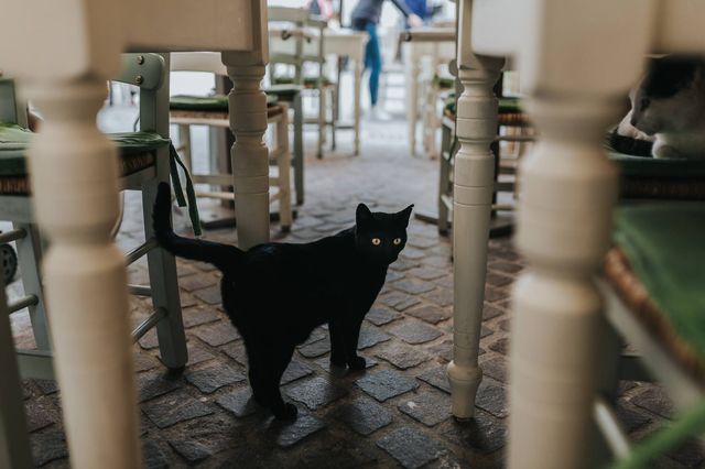 Подорож на Крит, від якої важко відвести погляд: затишні фото - фото 324773