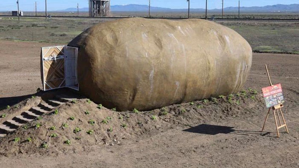 Будинок у вигляді картоплі: на сервісі з оренди квартир з'явилися незвичні апартаменти