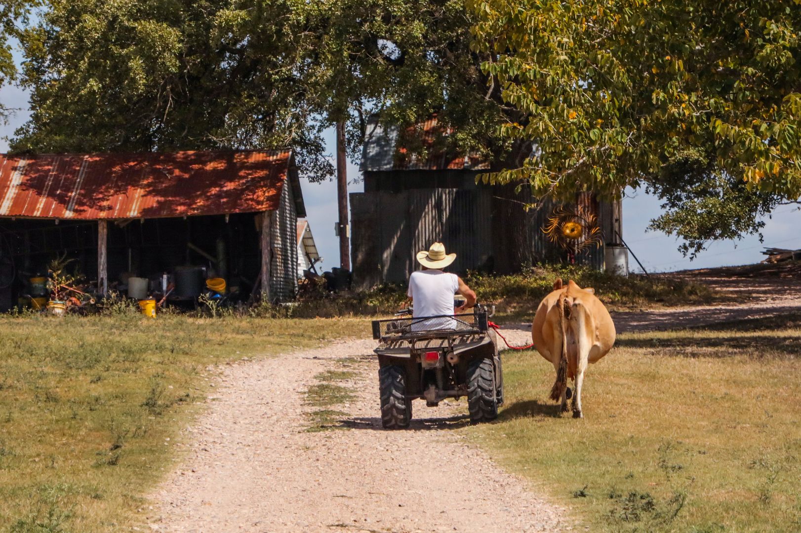 Втомлений фермер підкорив Reddit - фото 1