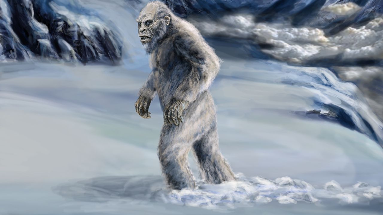 В Індії заявили про виявлення слідів снігової людини: фотофакт