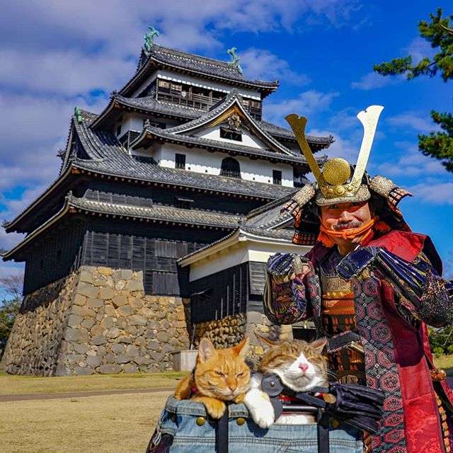 Японець подорожує країною з двома котами в рюкзаку - фото 324946