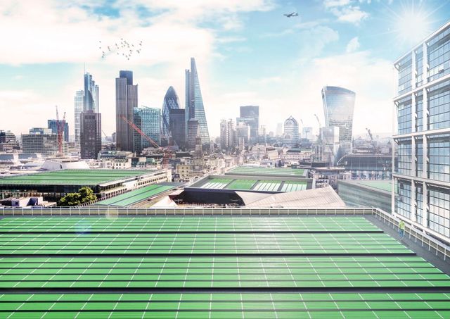 На дахах будуть встановлені панелі з планктоном - фото 325020