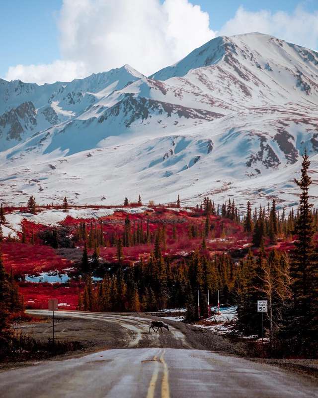 Фото Аляски, які змусять затримати погляд: захопливі кадри - фото 325021