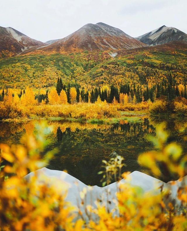 Фото Аляски, які змусять затримати погляд: захопливі кадри - фото 325033