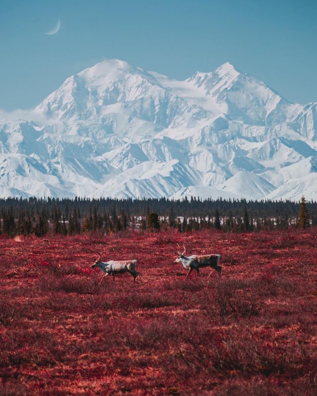 Фото Аляски, які змусять затримати погляд: захопливі кадри - фото 325039