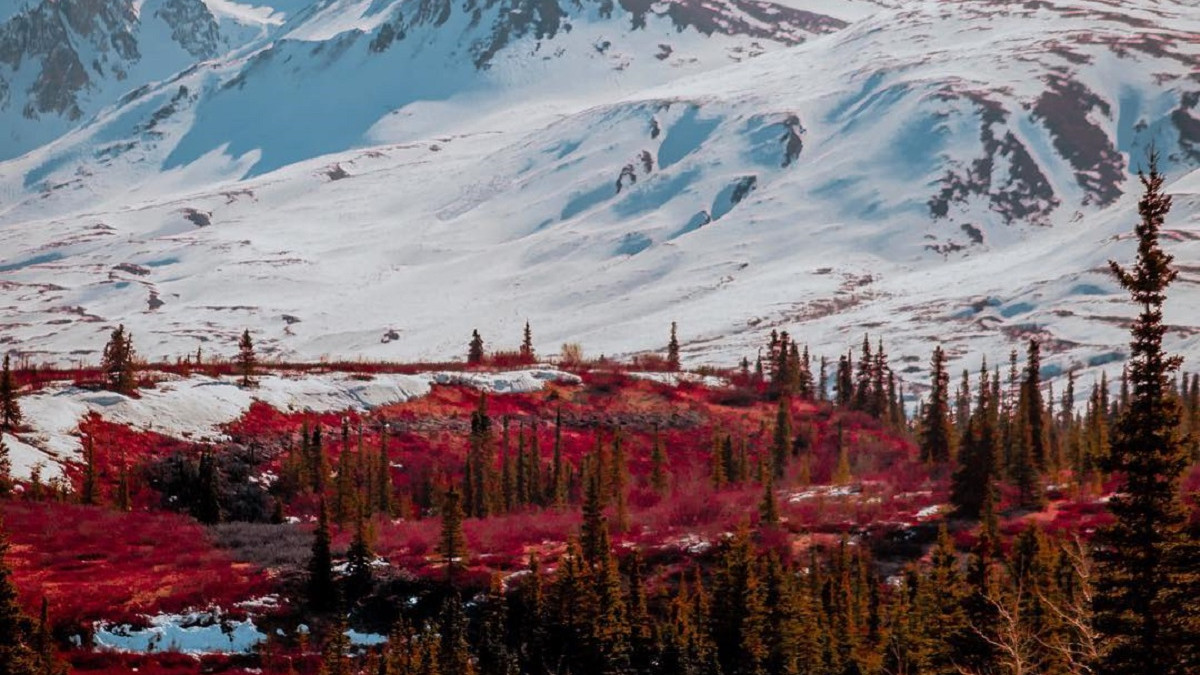 Яскраві подорожі Аляскою - фото 1