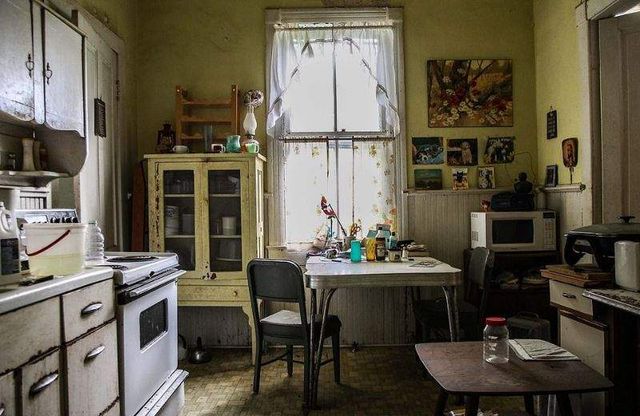 У цей будинок десятиліттями не ступала нога людини - фото 325498