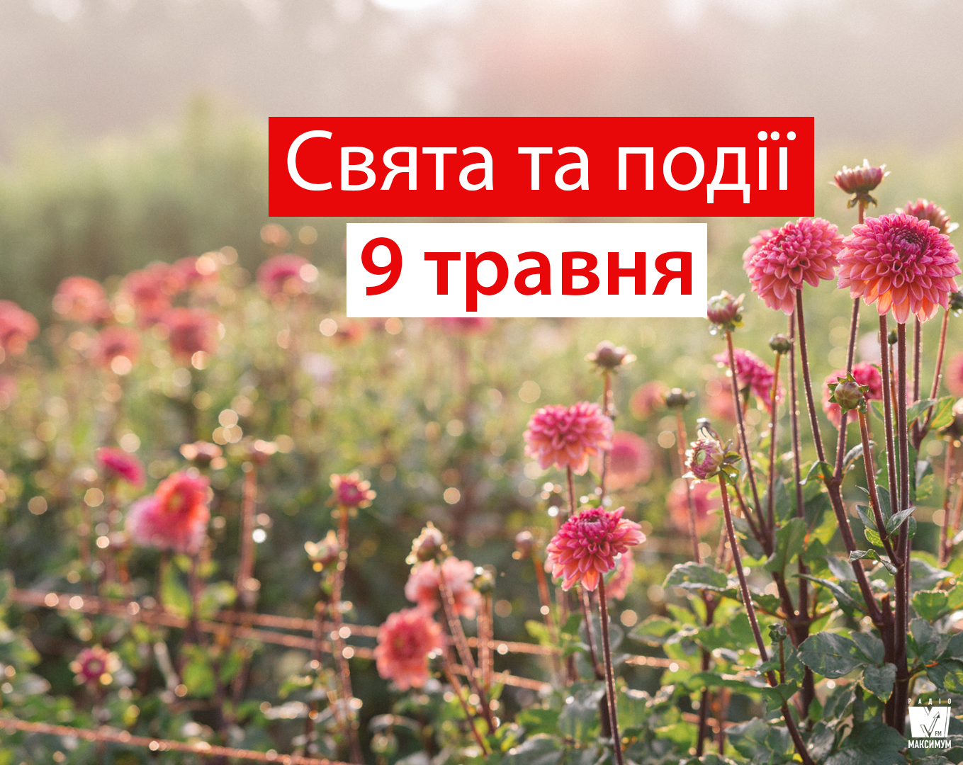 9 травня 2019 – яке сьогодні свято: традиції, заборони і прикмети