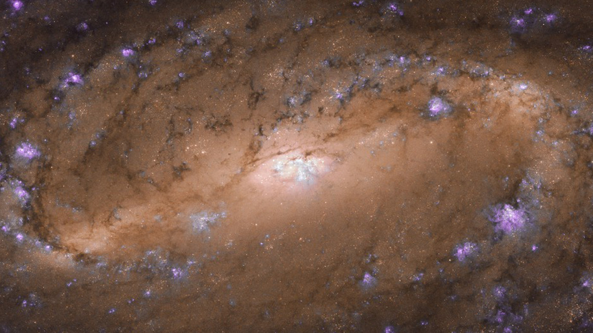 Галактика NGC 2903 - фото 1