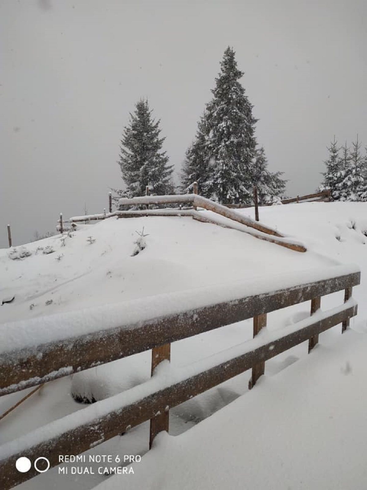 Сніг у Карпатах 7 травня - фото 1