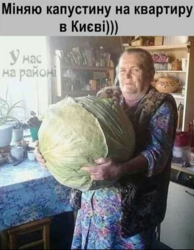Міняю капусту на квартиру в Києві: найкумедніші меми про подорожчання овочів - фото 326320