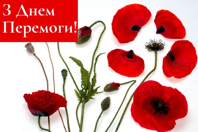 Листівка з 9 травня - фото 326339