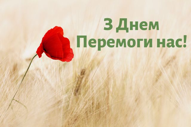 Відкритка з 9 травня - фото 326341