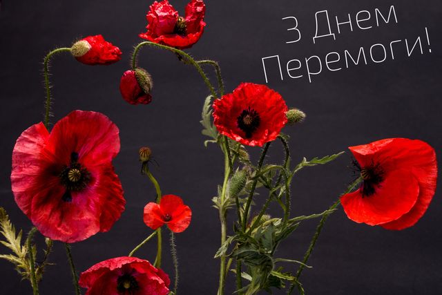 З днем перемоги 9 травня - фото 326344