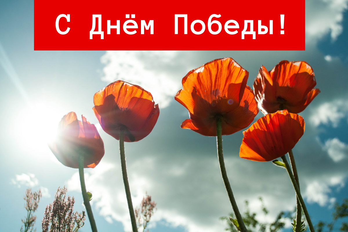 Поздравление с Днем победы 9 мая 2019: стихи, проза и картинки