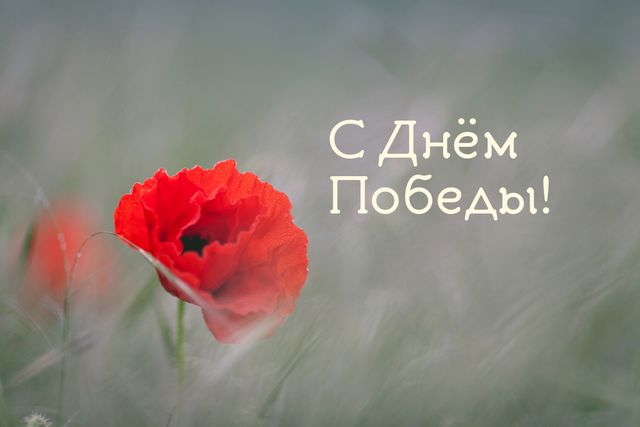 С Днем победы 9 мая - фото 326377